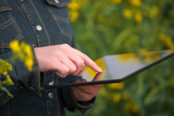 Como obter a Nota Fiscal Eletrônica do Produtor Rural?